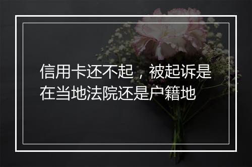 信用卡还不起，被起诉是在当地法院还是户籍地