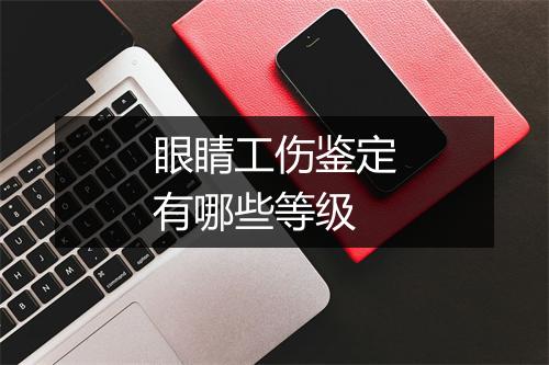 眼睛工伤鉴定有哪些等级