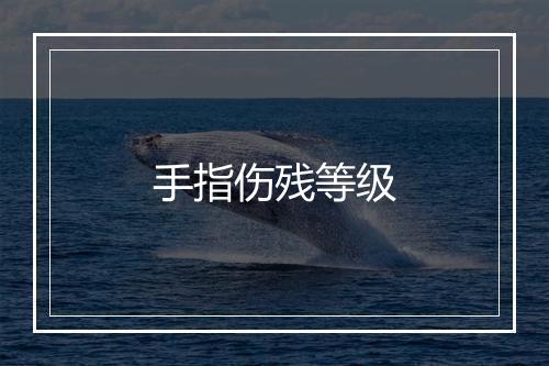 手指伤残等级