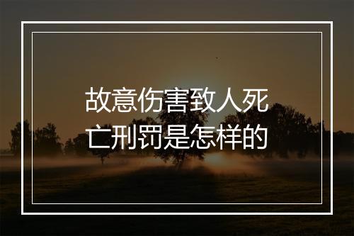 故意伤害致人死亡刑罚是怎样的