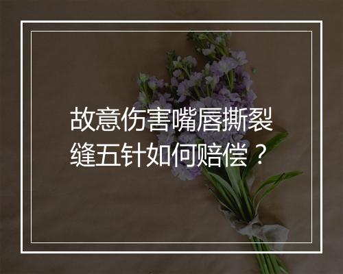 故意伤害嘴唇撕裂缝五针如何赔偿？