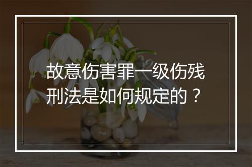 故意伤害罪一级伤残刑法是如何规定的？