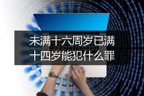 未满十六周岁已满十四岁能犯什么罪