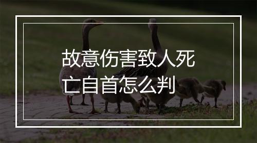 故意伤害致人死亡自首怎么判