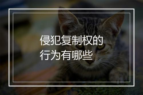 侵犯复制权的行为有哪些