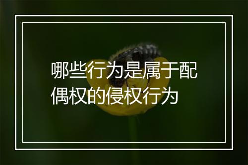 哪些行为是属于配偶权的侵权行为