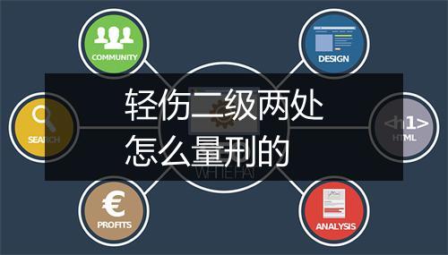 轻伤二级两处怎么量刑的