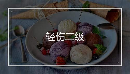 轻伤二级