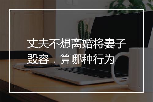 丈夫不想离婚将妻子毁容，算哪种行为