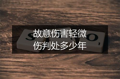 故意伤害轻微伤判处多少年