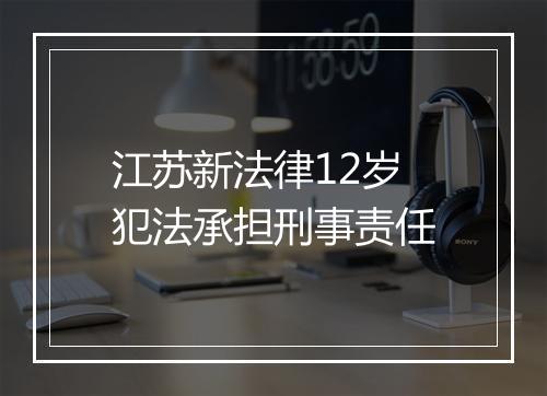 江苏新法律12岁犯法承担刑事责任
