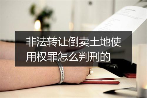 非法转让倒卖土地使用权罪怎么判刑的