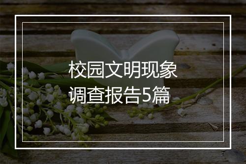 校园文明现象调查报告5篇