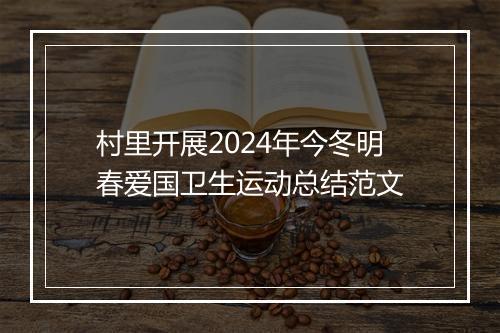村里开展2024年今冬明春爱国卫生运动总结范文