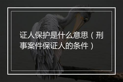 证人保护是什么意思（刑事案件保证人的条件）