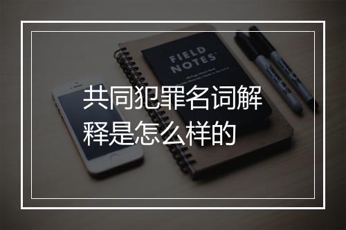 共同犯罪名词解释是怎么样的