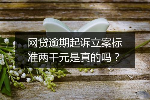 网贷逾期起诉立案标准两千元是真的吗？