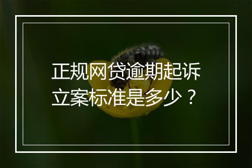 正规网贷逾期起诉立案标准是多少？