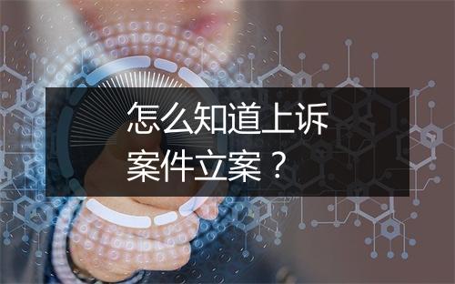 怎么知道上诉案件立案？