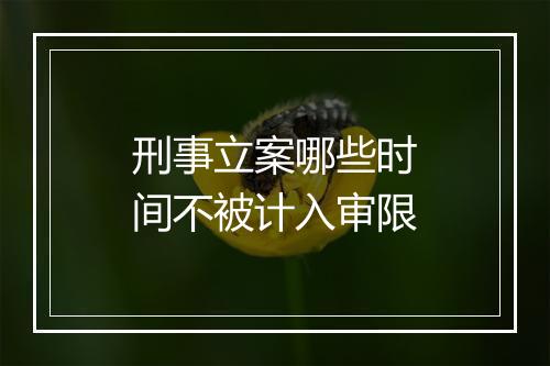 刑事立案哪些时间不被计入审限