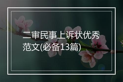 二审民事上诉状优秀范文(必备13篇)