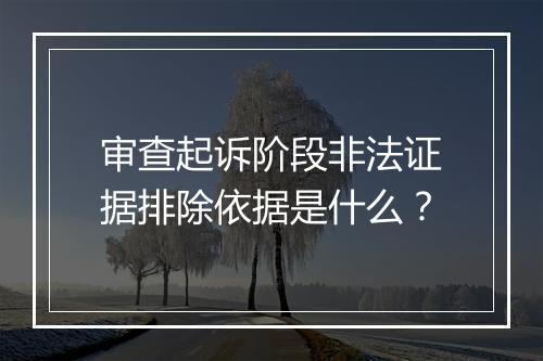 审查起诉阶段非法证据排除依据是什么？