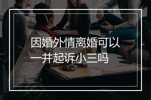 因婚外情离婚可以一并起诉小三吗