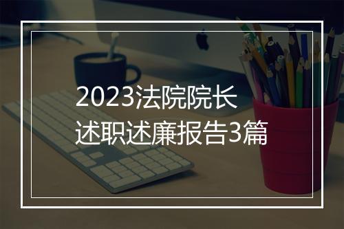 2023法院院长述职述廉报告3篇
