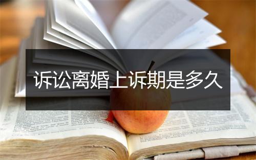 诉讼离婚上诉期是多久
