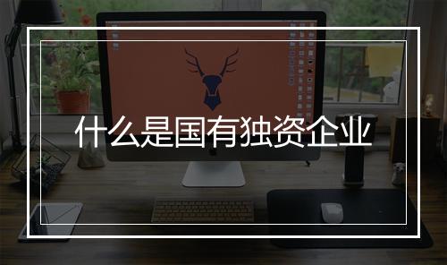 什么是国有独资企业