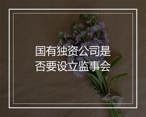 国有独资公司是否要设立监事会
