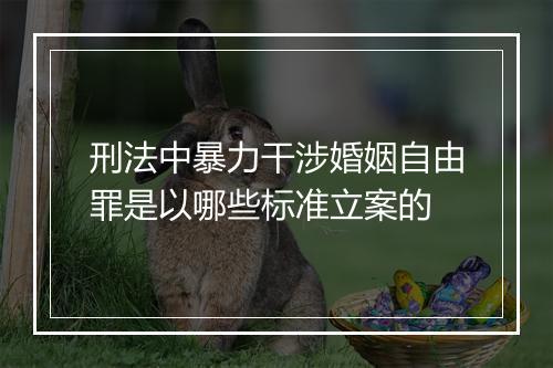 刑法中暴力干涉婚姻自由罪是以哪些标准立案的