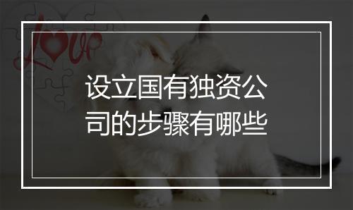 设立国有独资公司的步骤有哪些