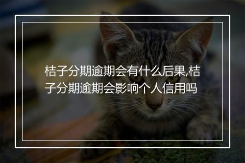 桔子分期逾期会有什么后果,桔子分期逾期会影响个人信用吗