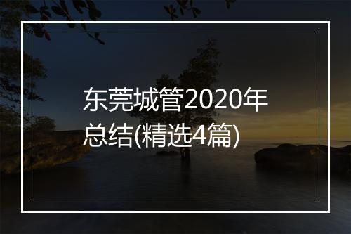 东莞城管2020年总结(精选4篇)