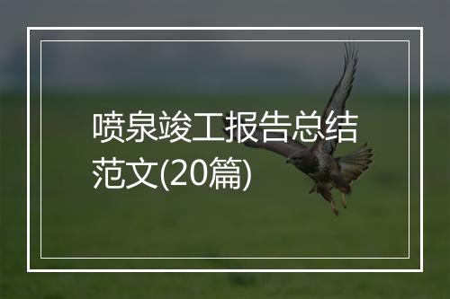 喷泉竣工报告总结范文(20篇)