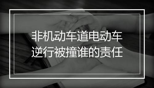 非机动车道电动车逆行被撞谁的责任