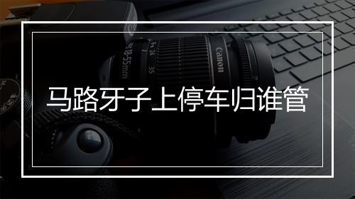 马路牙子上停车归谁管