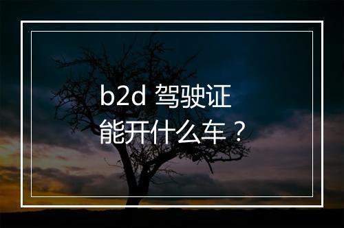 b2d 驾驶证能开什么车？