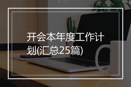 开会本年度工作计划(汇总25篇)