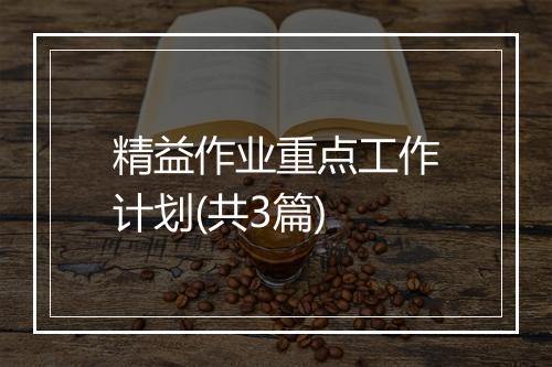 精益作业重点工作计划(共3篇)