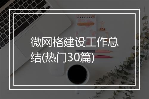 微网格建设工作总结(热门30篇)