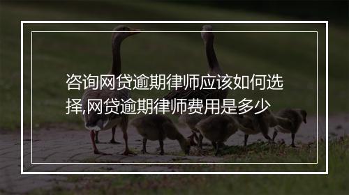 咨询网贷逾期律师应该如何选择,网贷逾期律师费用是多少