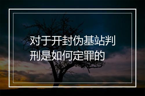 对于开封伪基站判刑是如何定罪的