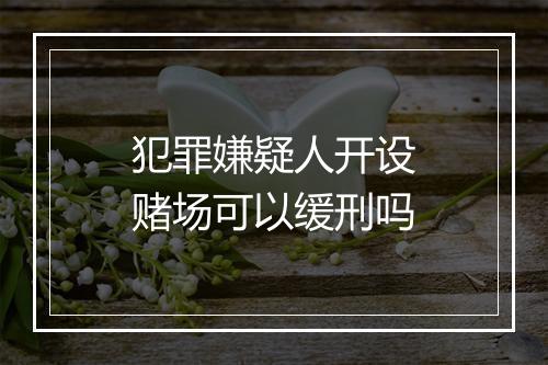 犯罪嫌疑人开设赌场可以缓刑吗
