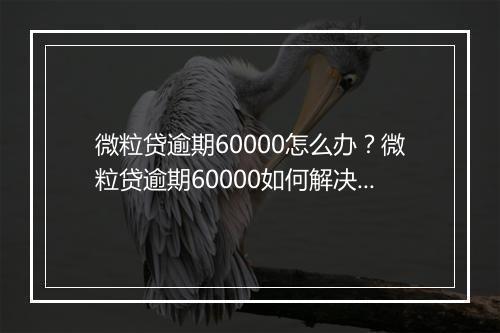 微粒贷逾期60000怎么办？微粒贷逾期60000如何解决？
