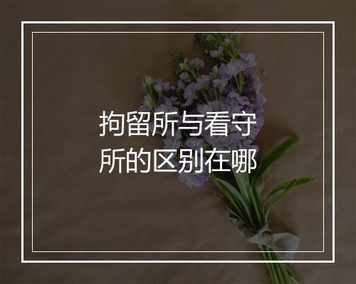 拘留所与看守所的区别在哪