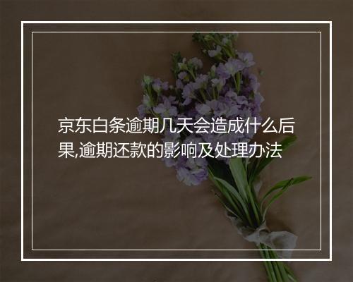 京东白条逾期几天会造成什么后果,逾期还款的影响及处理办法