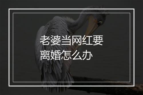 老婆当网红要离婚怎么办
