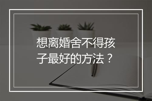 想离婚舍不得孩子最好的方法？